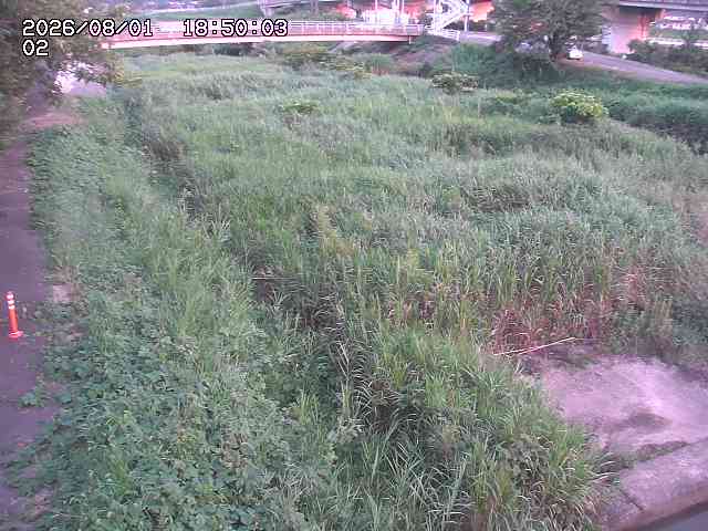 東郷川１2026/08/01 22:00:00