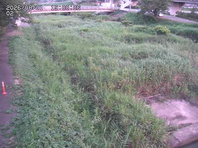東郷川１2026/08/01 22:00:00