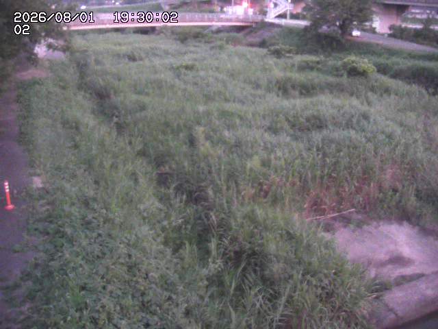 東郷川１2026/08/01 22:00:00