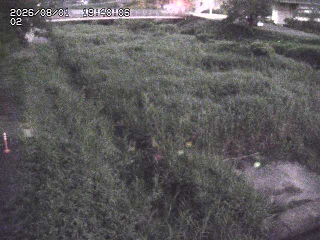 東郷川１2026/08/01 22:00:00