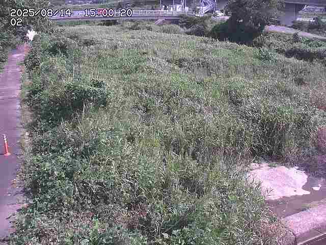 東郷川１2025/08/15 15:40:00