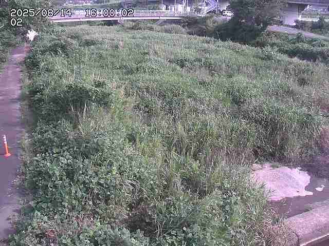 東郷川１2025/08/15 15:40:00