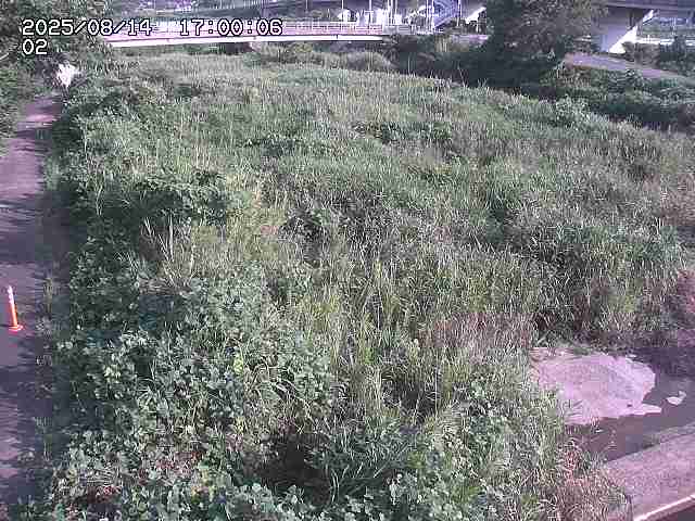 東郷川１2025/08/15 15:40:00