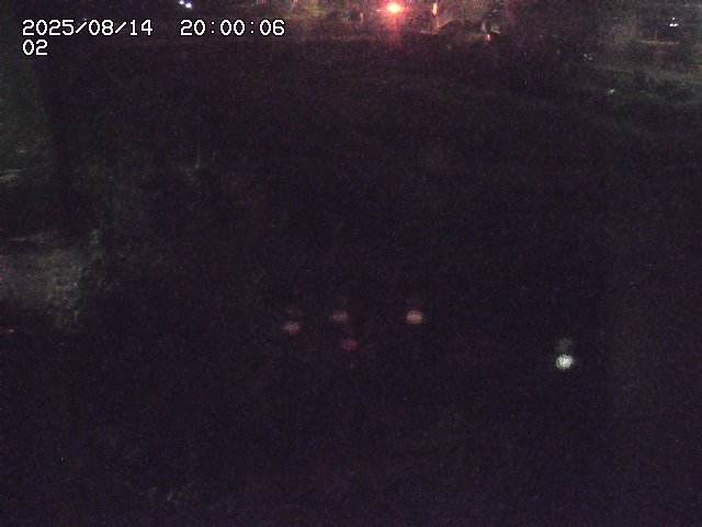 東郷川１2025/08/15 15:40:00