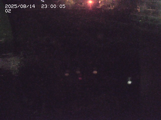 東郷川１2025/08/15 15:40:00