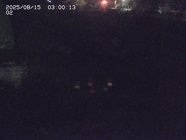 東郷川１2025/08/15 15:40:00
