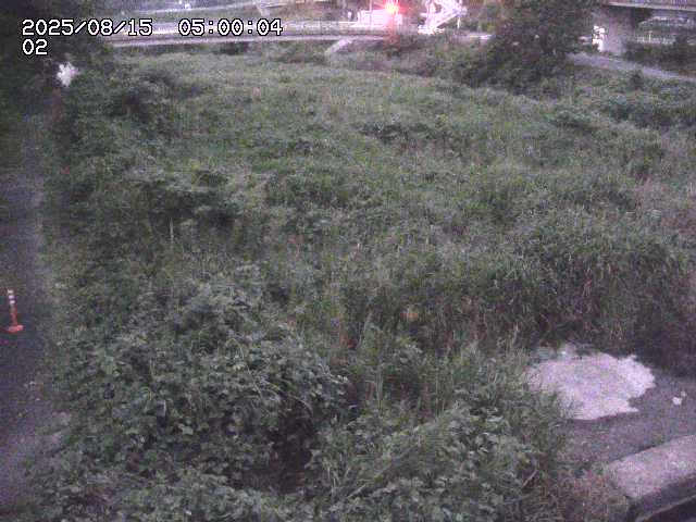 東郷川１2025/08/15 15:40:00