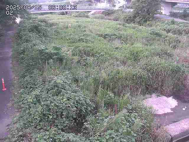 東郷川１2025/08/15 15:40:00