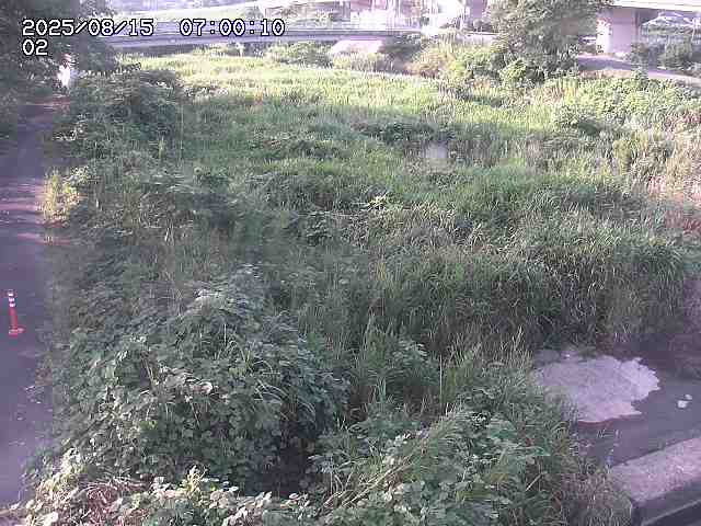 東郷川１2025/08/15 15:40:00
