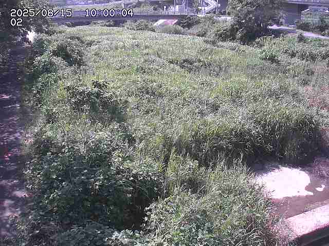 東郷川１2025/08/15 15:40:00