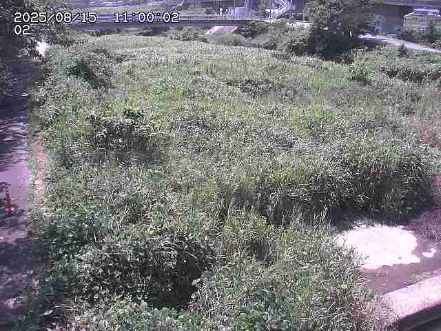 東郷川１2025/08/15 15:40:00