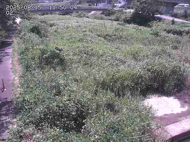 東郷川１2025/08/15 15:40:00