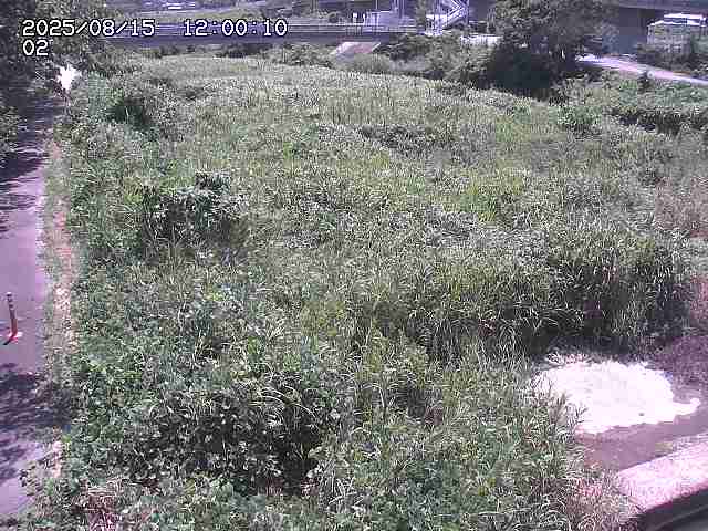東郷川１2025/08/15 15:40:00