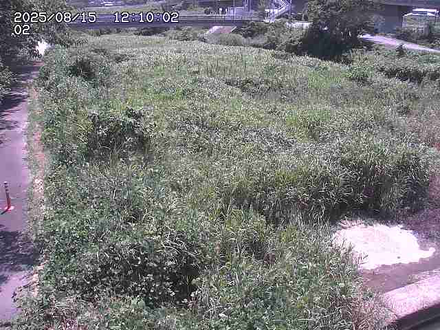 東郷川１2025/08/15 15:40:00