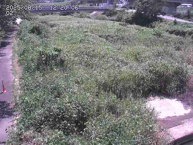 東郷川１2025/08/15 15:40:00