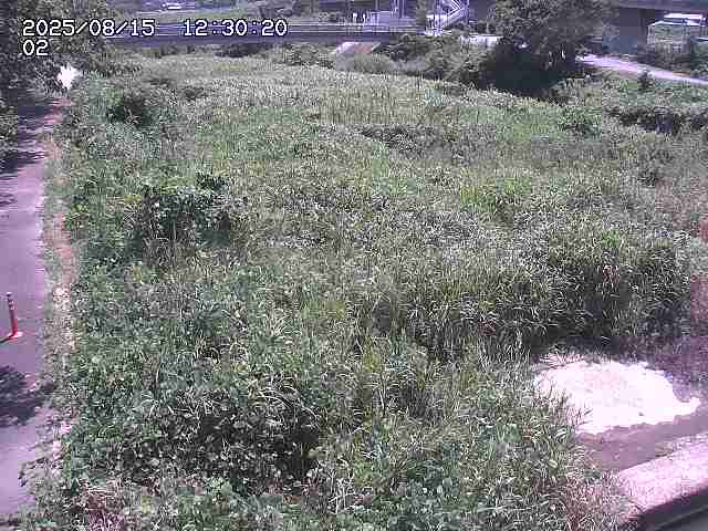 東郷川１2025/08/15 15:40:00