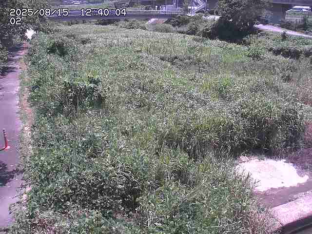 東郷川１2025/08/15 15:40:00