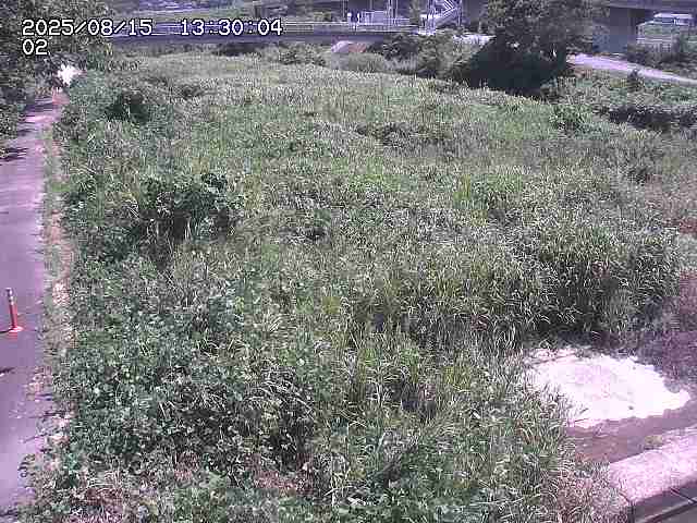 東郷川１2025/08/15 15:40:00