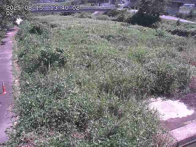 東郷川１2025/08/15 15:40:00