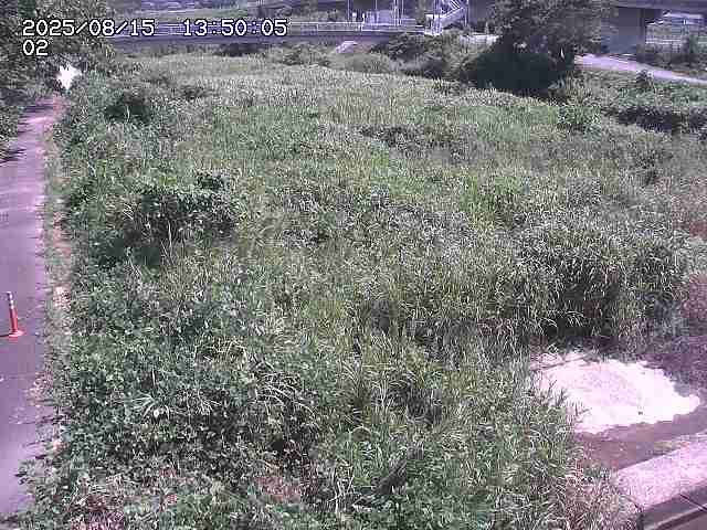 東郷川１2025/08/15 15:40:00