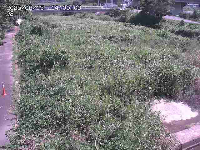 東郷川１2025/08/15 15:40:00