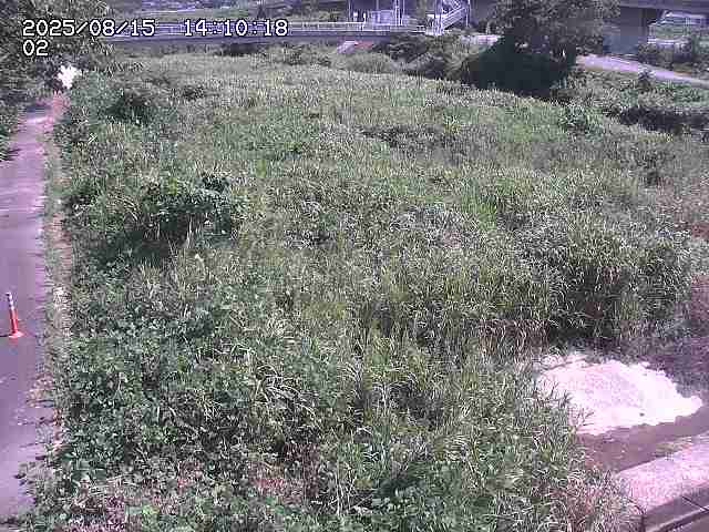 東郷川１2025/08/15 15:40:00