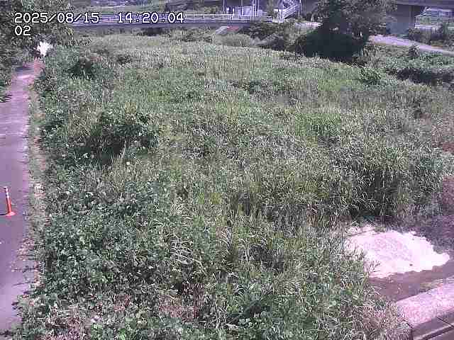 東郷川１2025/08/15 15:40:00