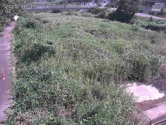 東郷川１2025/08/15 15:40:00