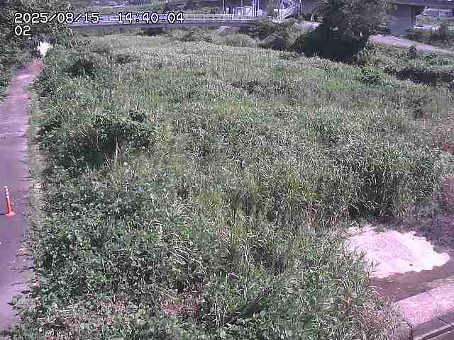 東郷川１2025/08/15 15:40:00