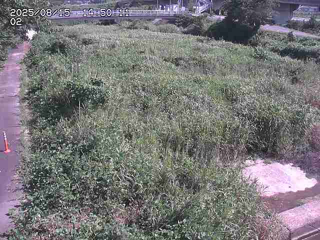 東郷川１2025/08/15 15:40:00