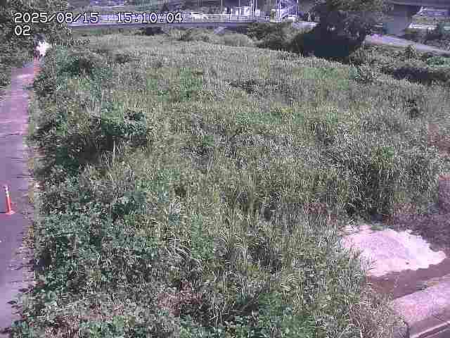 東郷川１2025/08/15 15:40:00