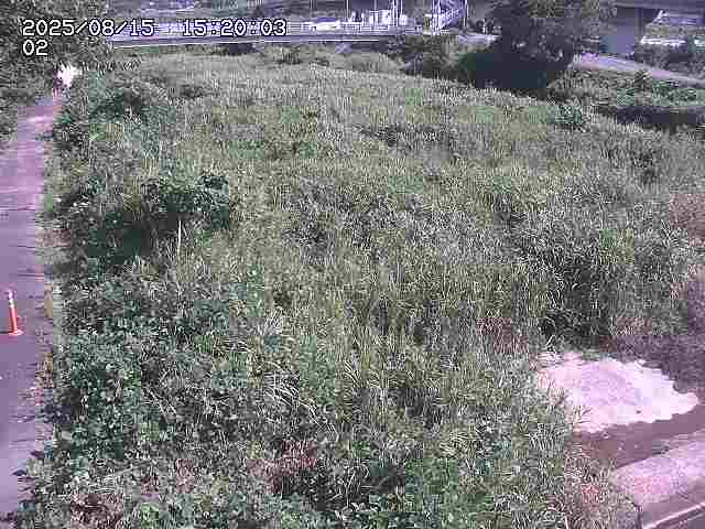 東郷川１2025/08/15 15:40:00
