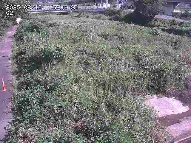 東郷川１2025/08/15 15:40:00