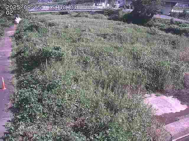 東郷川１2025/08/15 15:40:00