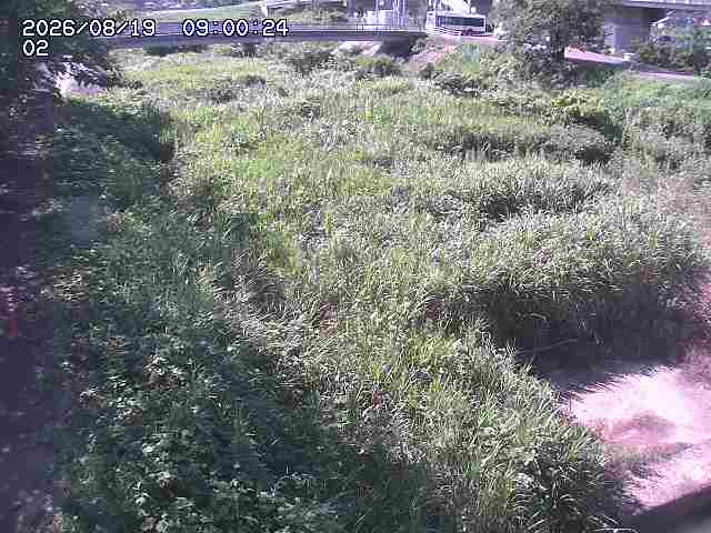 東郷川１2026/08/20 8:40:00