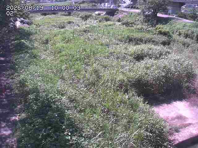 東郷川１2026/08/20 8:40:00