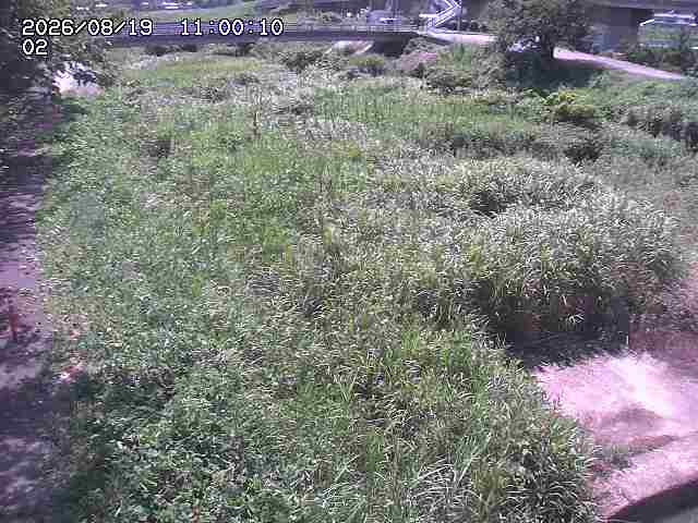 東郷川１2026/08/20 8:40:00