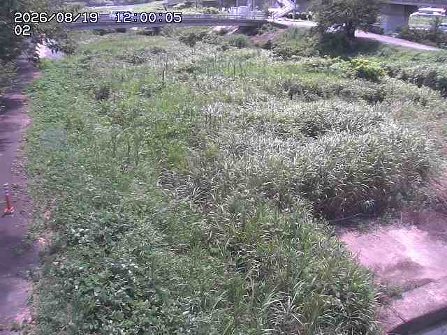 東郷川１2026/08/20 8:40:00