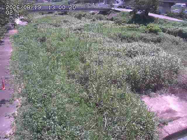 東郷川１2026/08/20 8:40:00