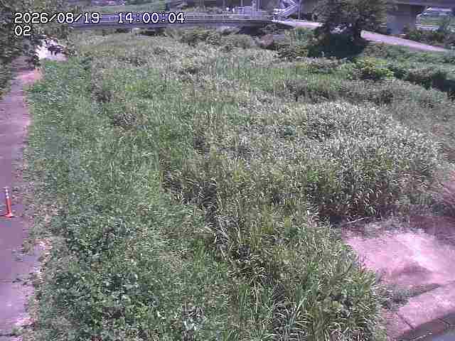 東郷川１2026/08/20 8:40:00