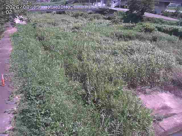 東郷川１2026/08/20 8:40:00