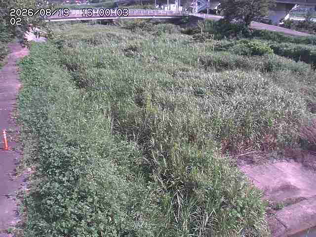東郷川１2026/08/20 8:40:00