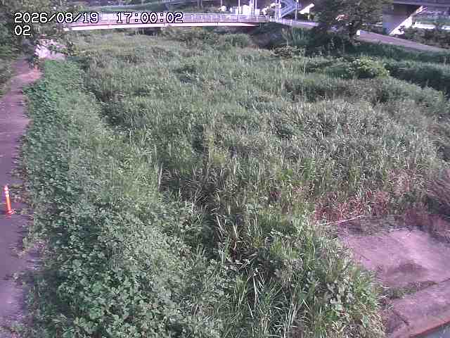 東郷川１2026/08/20 8:40:00
