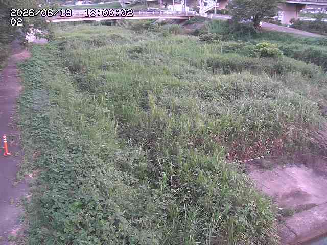 東郷川１2026/08/20 8:40:00