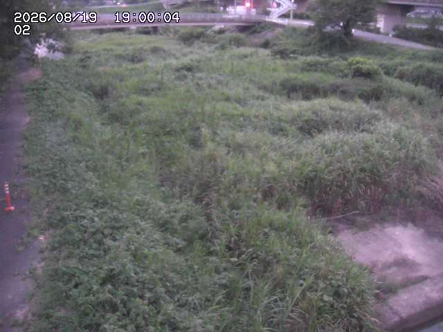 東郷川１2026/08/20 8:40:00