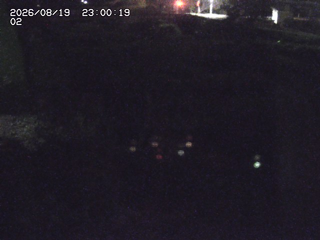 東郷川１2026/08/20 8:40:00