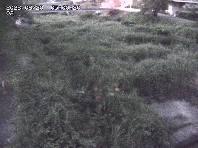東郷川１2026/08/20 8:40:00