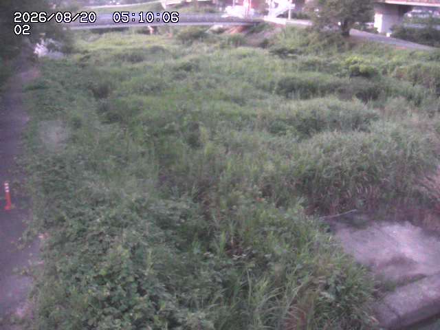 東郷川１2026/08/20 8:40:00