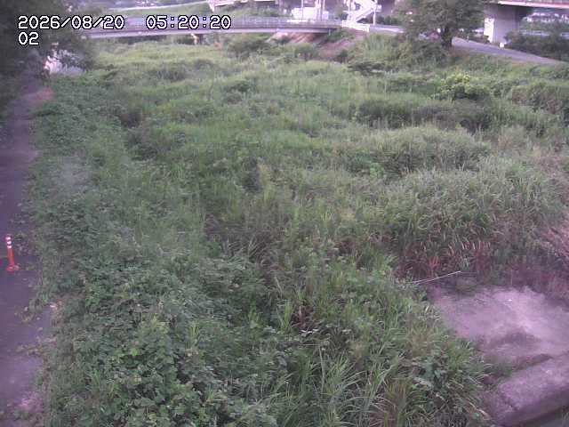 東郷川１2026/08/20 8:40:00