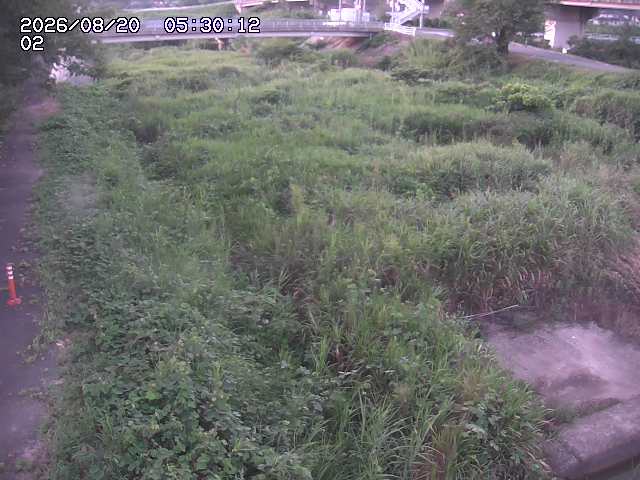 東郷川１2026/08/20 8:40:00